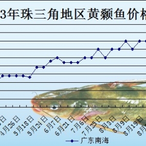 2013��9��26��ȫ���؅^�S��~���^�r��