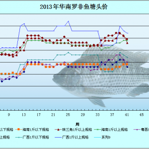 2013��9��21-24���_���~�r�������܈�