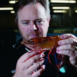 ����������|�������~���������