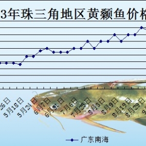 2013��9��27��ȫ���؅^�S��~���^�r��