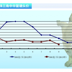 ���~�����M�M������ С���ϝq����ˮ�aǰ�ء�2013��10�¿��Ј�څ��