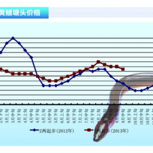 �S�X���p���������� �r��ֹ���S������ˮ�aǰ�ء�2013��10�¿��Ј�څ��