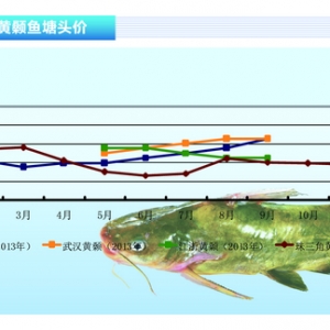 �S��~���V�|�r�������ϝq����ˮ�aǰ�ء�2013��10�¿��Ј�څ��