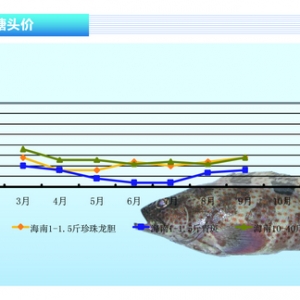 ʯ���~���r����ϝqڅ�ݡ���ˮ�aǰ�ء�2013��10�¿��Ј�څ��