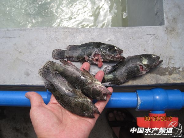 �����r���� ʯ���~�a�I��ȥ�Ώģ�