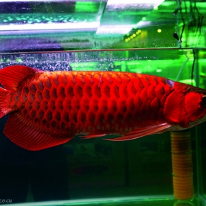 �R�����������_���Ї��^�p�~�Ј�