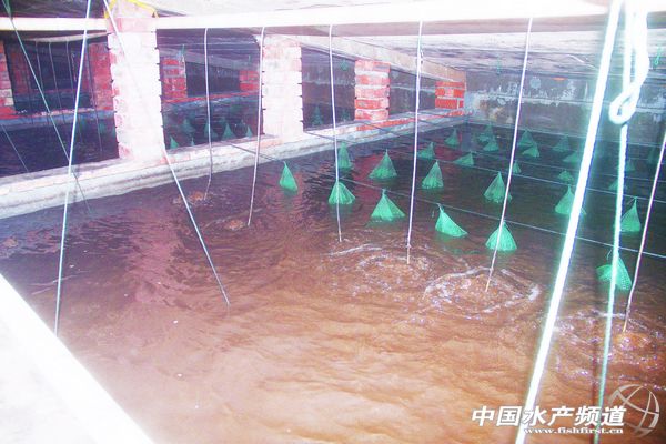 ������һ�w�� ���A�M�F���N�I���O�����M�Еr