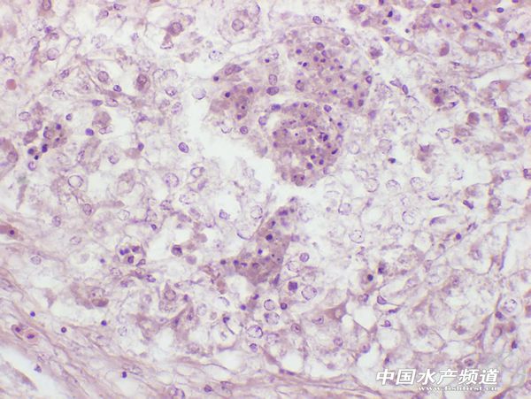 �沮�ؚ�ΰ����������~����һ��