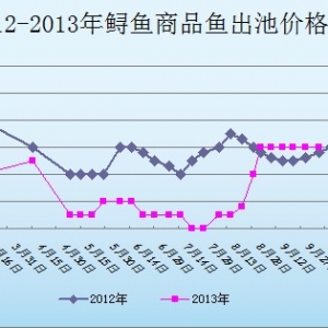 2013��10��8��ɽ�|ұԭ�؅^�\�~�r������