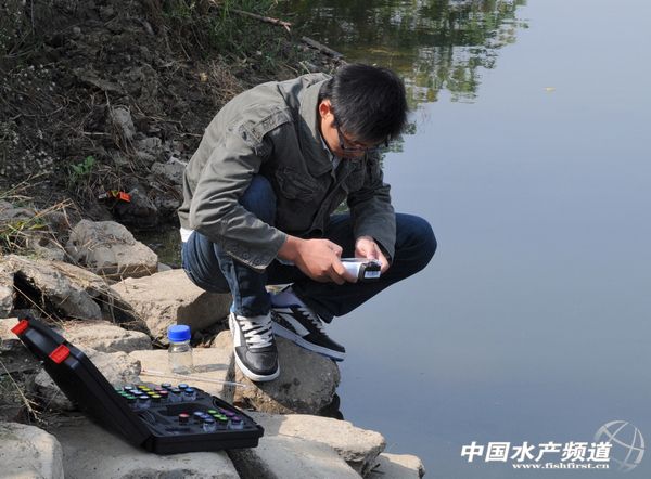 ���ɰ���yʽ�����x���Ô��W�����z�yˮ�|