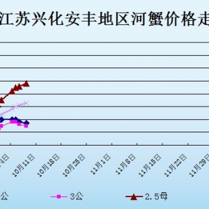 2013��10��9�ս��K�d�����S��з�r(ji��)������