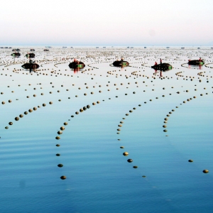 2013��ȫ��ˮ�a�Bֳ��Ŀ�˕��h �I���{ɫ����