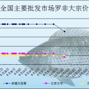 2013��10��11��ȫ����Ҫ���l�Ј��_���~�r������