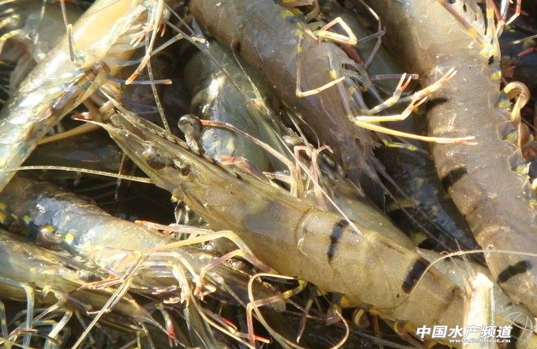 �߹����r��EMS�ķ���������ԓ���ṩ����