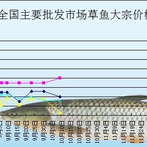 2013��10��12��ȫ����Ҫ���l�Ј����~�r������