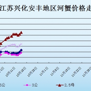 2013��10��13�ս��K�d�����S��з�r������