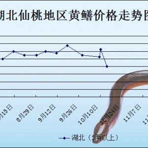 2013��10��14��ȫ���؅^�S�X���^�r