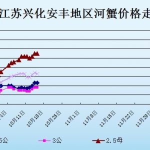 2013��10��15�ս��K�d�����S��з�r������