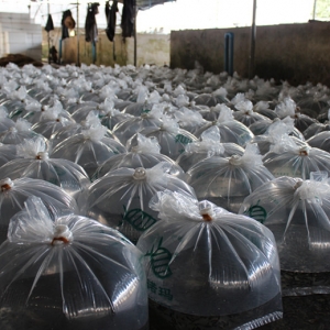 �_��������������ͬ�����L(zh��ng)30-40%