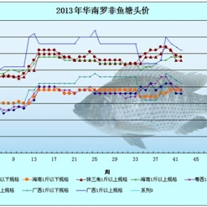 2013��10��14-17���_���~�r�������܈�