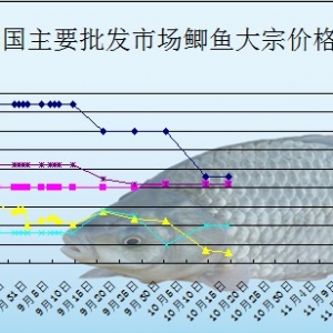 2013��10��17��ȫ����Ҫ���l�Ј��a�~�r������