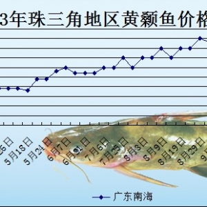 2013��10��18��ȫ���؅^�S��~���^�r��