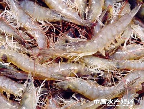 ī�����r���ܷ������Ї����r�a�I������