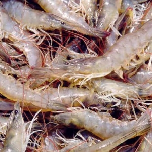 ī����(du��)�r���ܷ������Ї�(gu��)��(du��)�r�a(ch��n)�I(y��)������