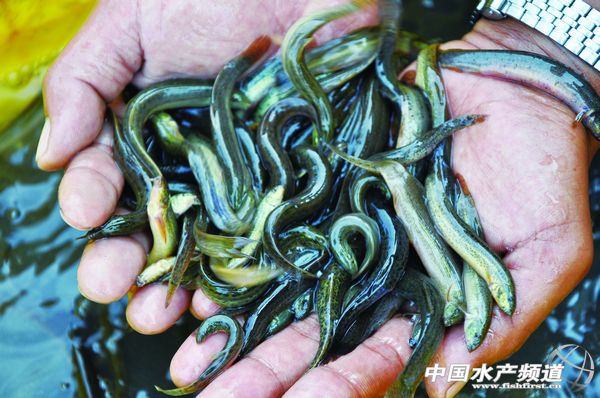 �M�����q������U����Σ�C������