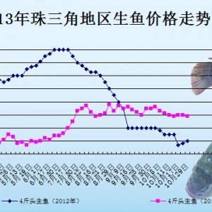 2013��10��22��ȫ�����ֵ؅^���~���^�r