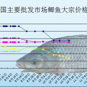 2013��10��22��ȫ����Ҫ���l�Ј��a�~�r������