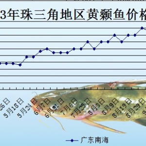 2013��10��23��ȫ���؅^�S��~���^�r��