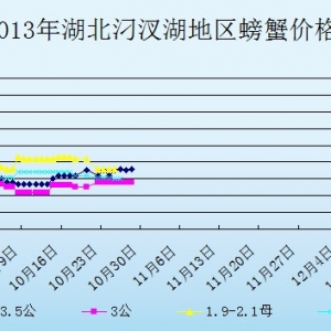 2013��10��28�պ����������з�r������