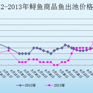 2013��10��28��ɽ�|ұԭ�؅^�\�~�r������