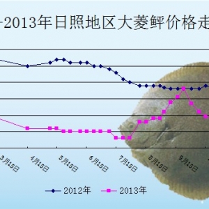 2013��10��28��ɽ�|���յ؅^(q��)�����҃r(ji��)������