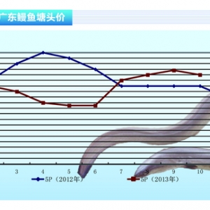 ���~���N���M�뵭�� ����ˮ�aǰ�ء�2013��11�¿��Ј�څ��