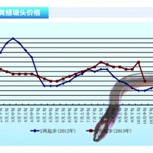 �S�X���p���^��r��Ѹ���µ� ����ˮ�aǰ�ء�2013��11�¿��Ј�څ��