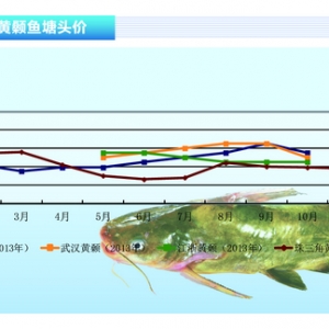 �S��~���r��С������ ����ˮ�aǰ�ء�2013��11�¿��Ј�څ��