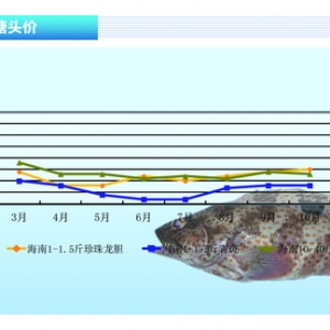 ʯ���~���r��ƽ�� �N������ ����ˮ�aǰ�ء�2013��11�¿��Ј�څ��