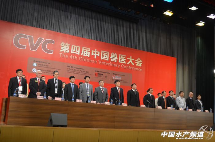 �F�t����������u���wϵ �ӏ��F�t�^�m����