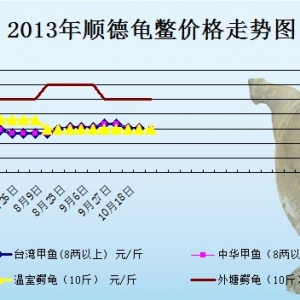 2013��10��29�ո��؅^���M�r������