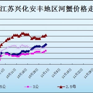 2013��10��29�ս��K�d�����S��з�r������