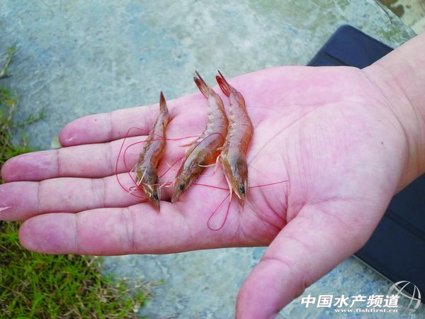 �~��������һ�����r�t�w�����\��