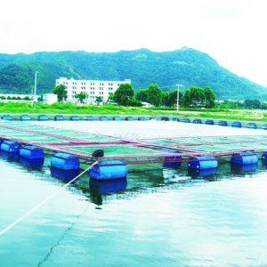 ��ͬ����Դ��Ȍ��W���_���~���L���ܵ�Ӱ�