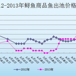 2013��11��4��ɽ�|ұԭ�؅^�\�~�r������