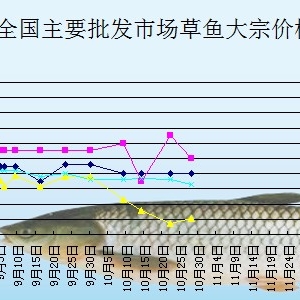 2013��11��4��ȫ����Ҫ���l�Ј����~�r������