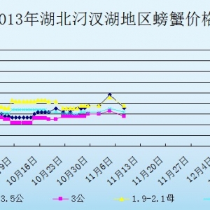 2013��11��8�պ����������з�r������