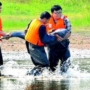 �L���~��YԴ�½��@�� ���ҽ��hȫ����O10��