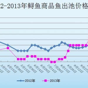 2013��11��19��ɽ�|ұԭ�؅^�\�~�r������