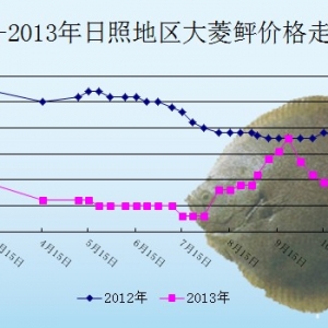 2013��11��19��ɽ�|���յ؅^(q��)�����҃r(ji��)������